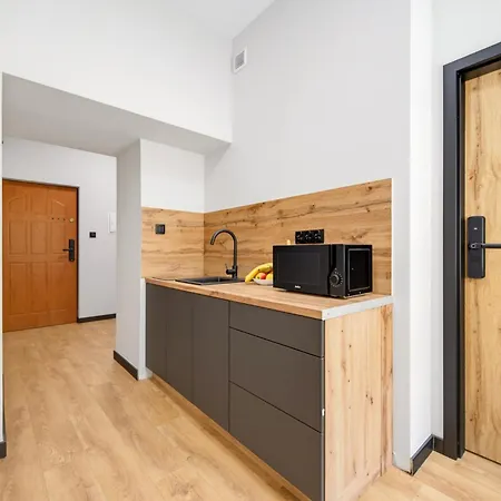 Gold Prime Apartmán Rybnik (Silesia)